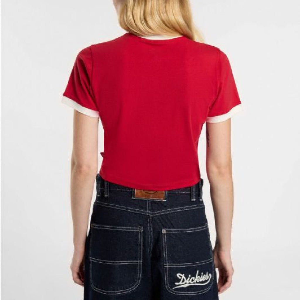 DICKIES DKAZIER LEWISTO en color ER  (5)
