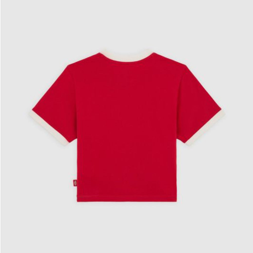 DICKIES DKAZIER LEWISTO en color ER  (6)