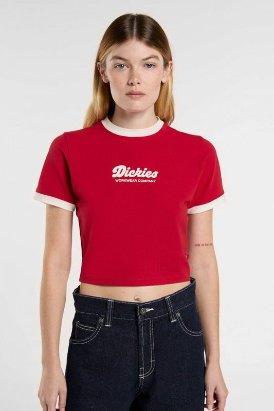 DICKIES DKAZIER LEWISTO en color ER  (1)
