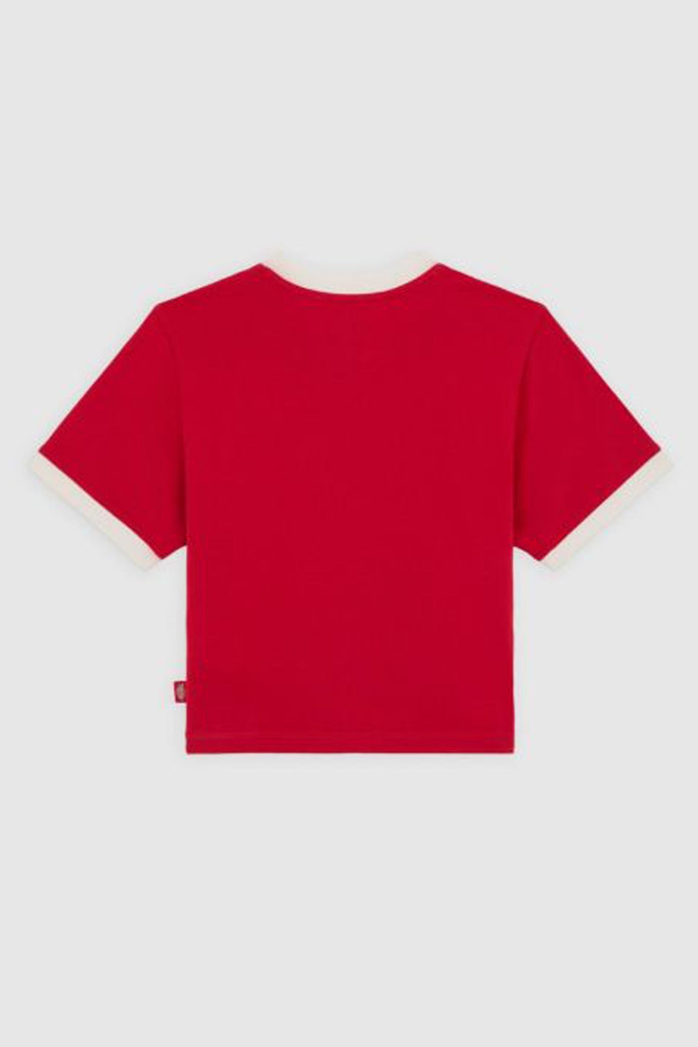 DICKIES DKAZIER LEWISTO en color ER  (3)