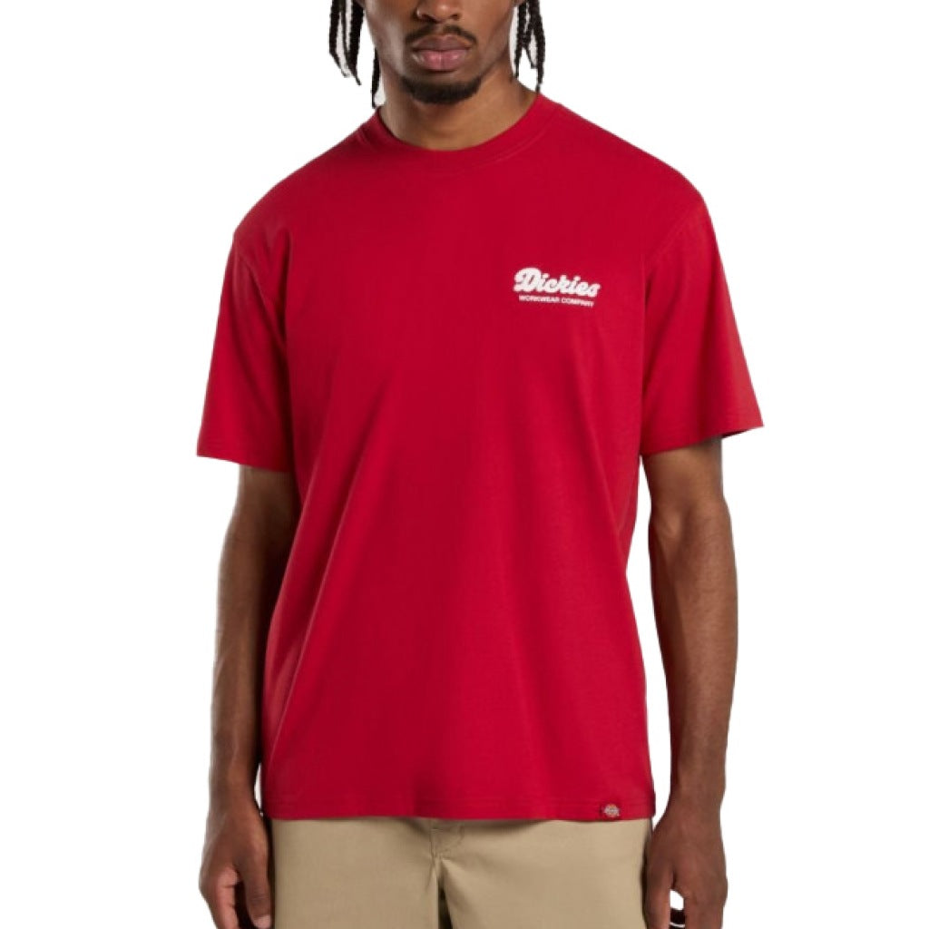 DICKIES DKAZZER LEWISTO en color ER  (4)