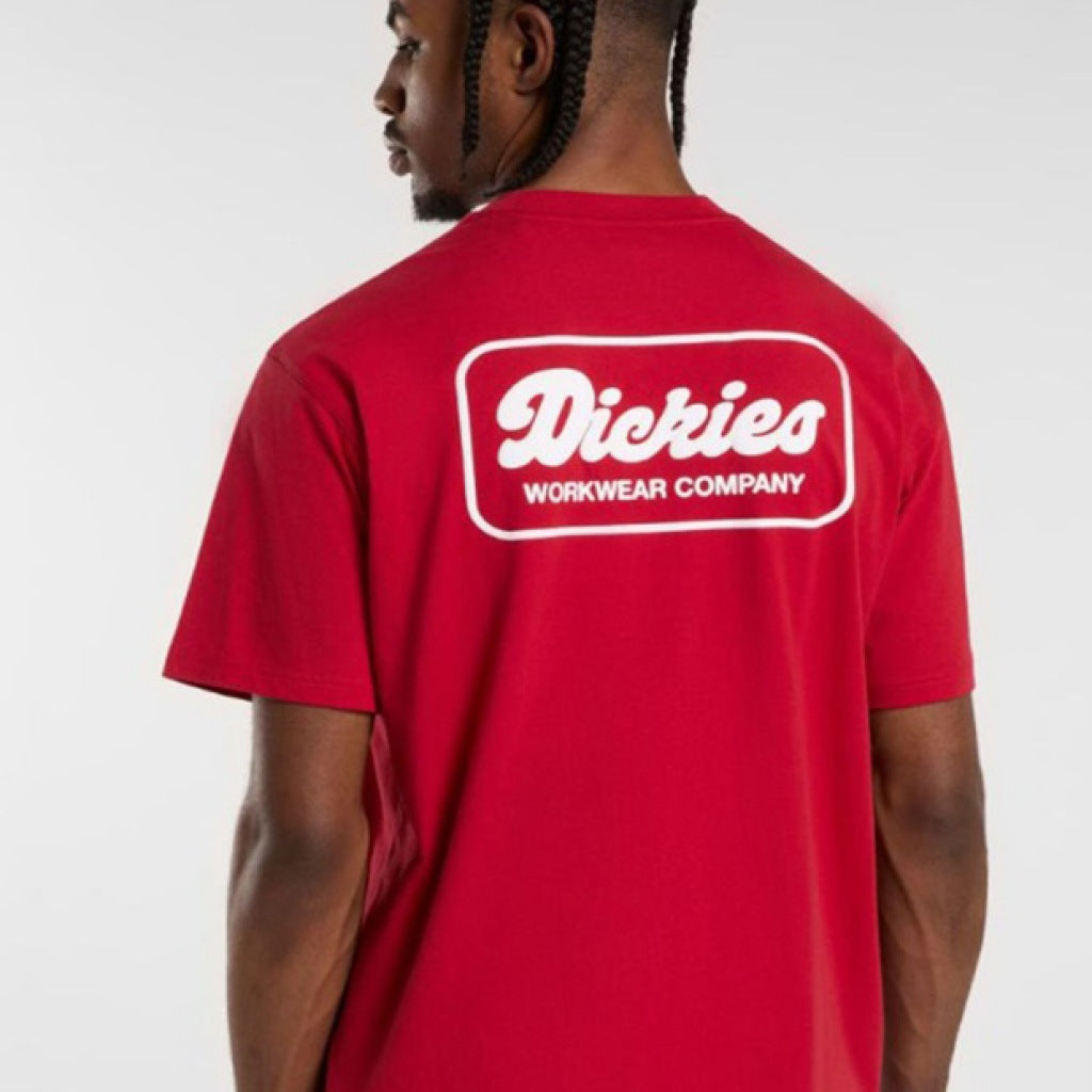 DICKIES DKAZZER LEWISTO en color ER  (5)