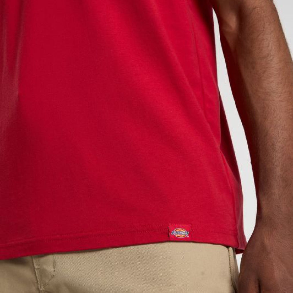 DICKIES DKAZZER LEWISTO en color ER  (6)