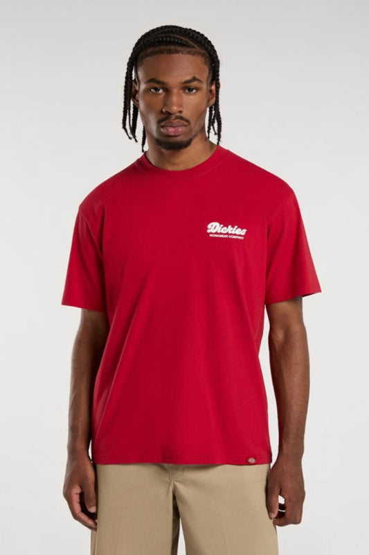 DICKIES DKAZZER LEWISTO en color ER  (1)