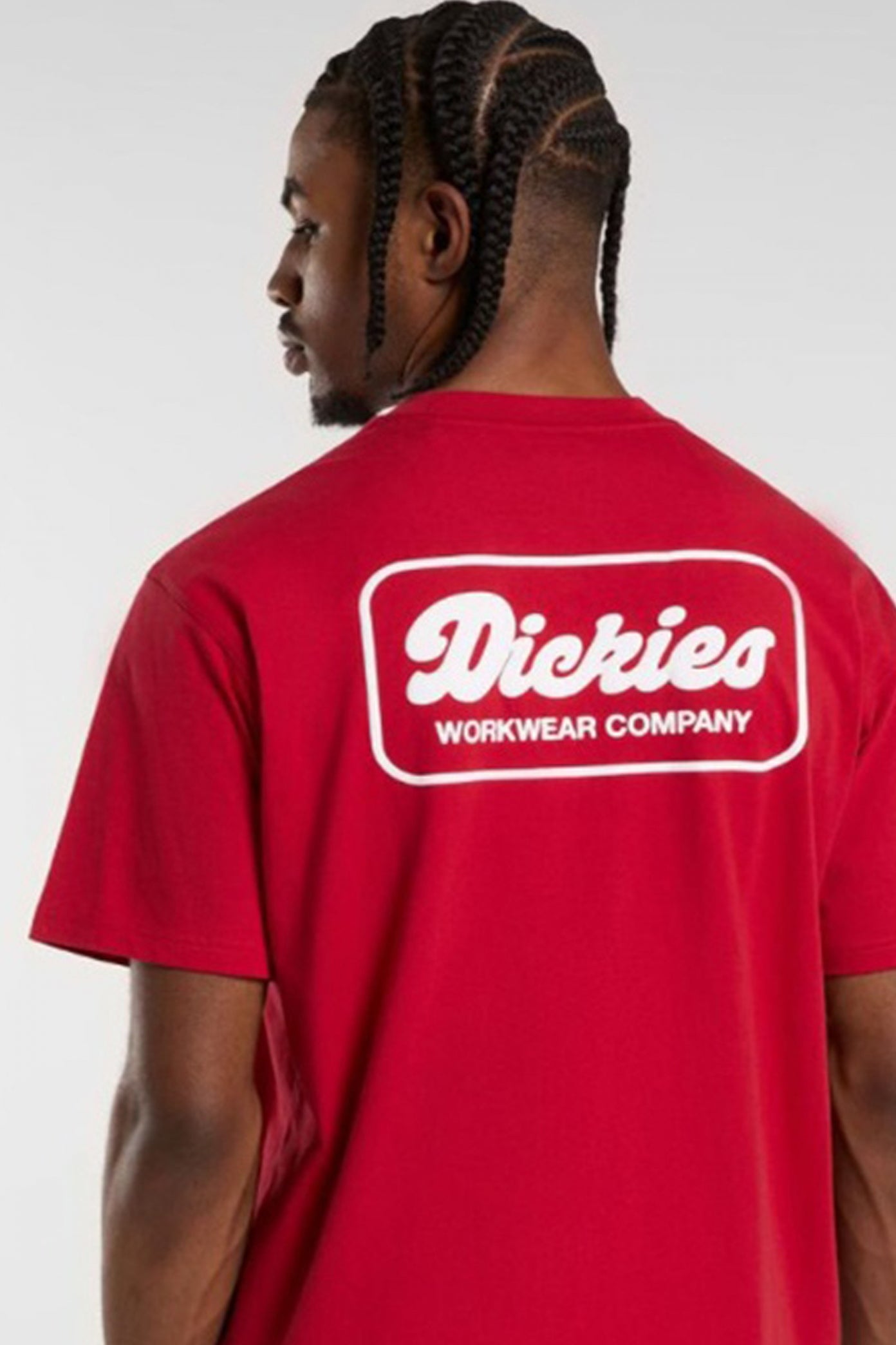 DICKIES DKAZZER LEWISTO en color ER  (2)