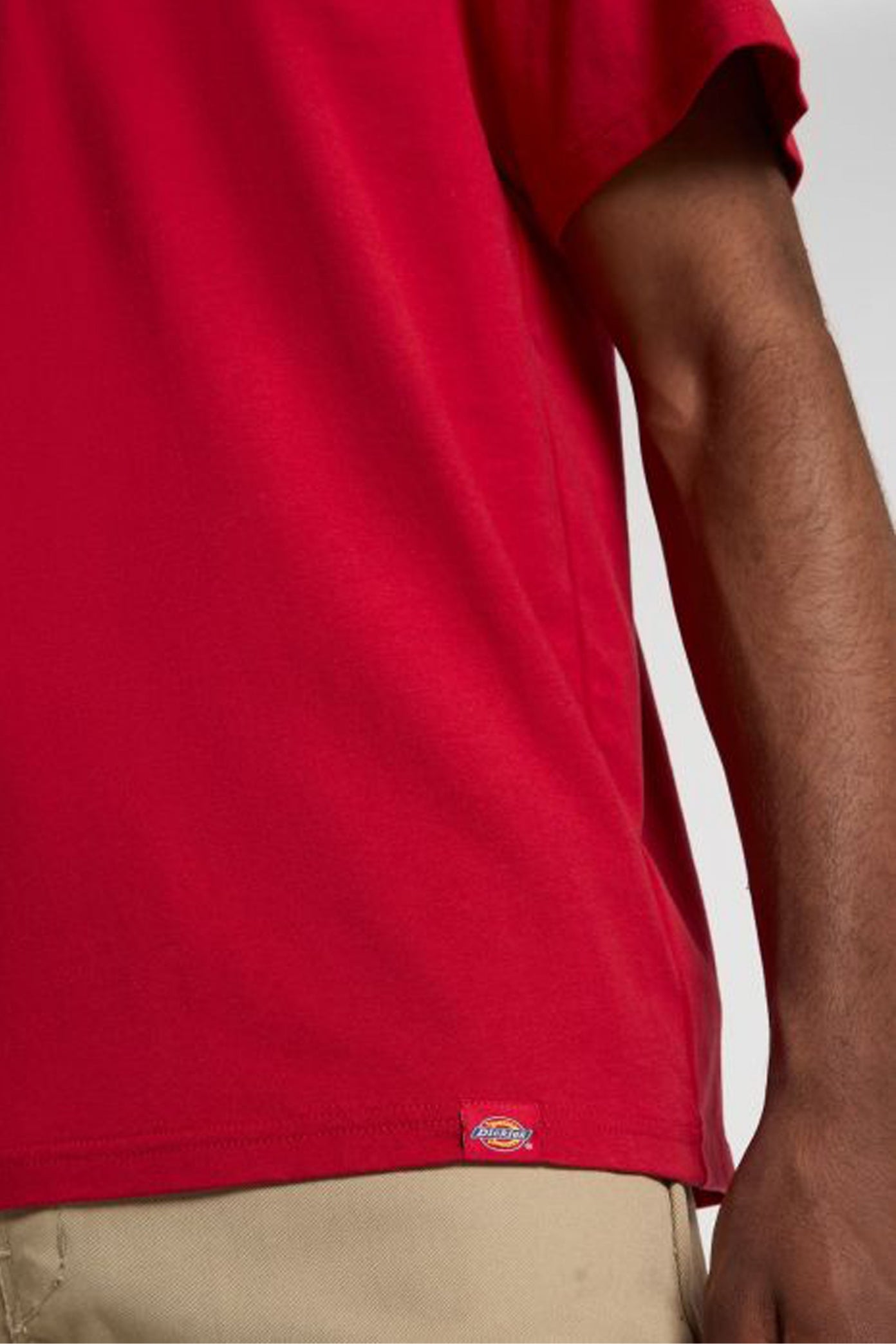 DICKIES DKAZZER LEWISTO en color ER  (3)