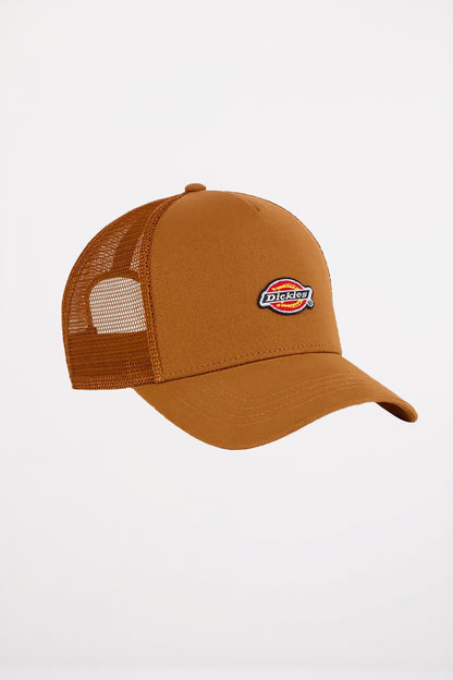 DICKIES HANSTON TRUCKER DUCK en color BD  (1)