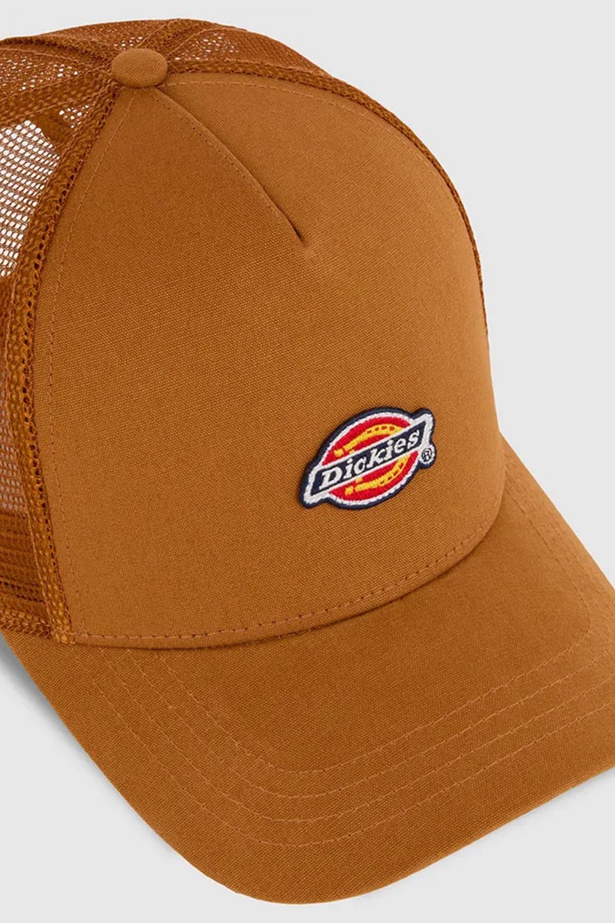 DICKIES HANSTON TRUCKER DUCK en color BD  (3)