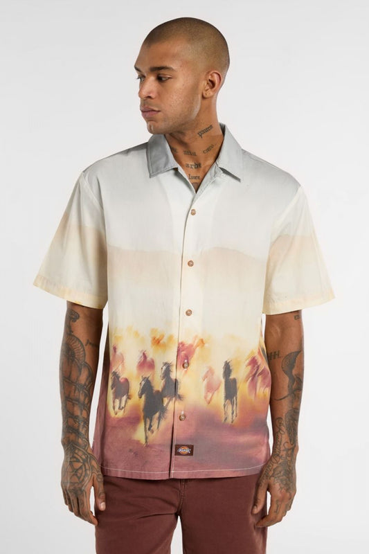 DICKIES RUNNING WILD SHIRT S en color K  (1)