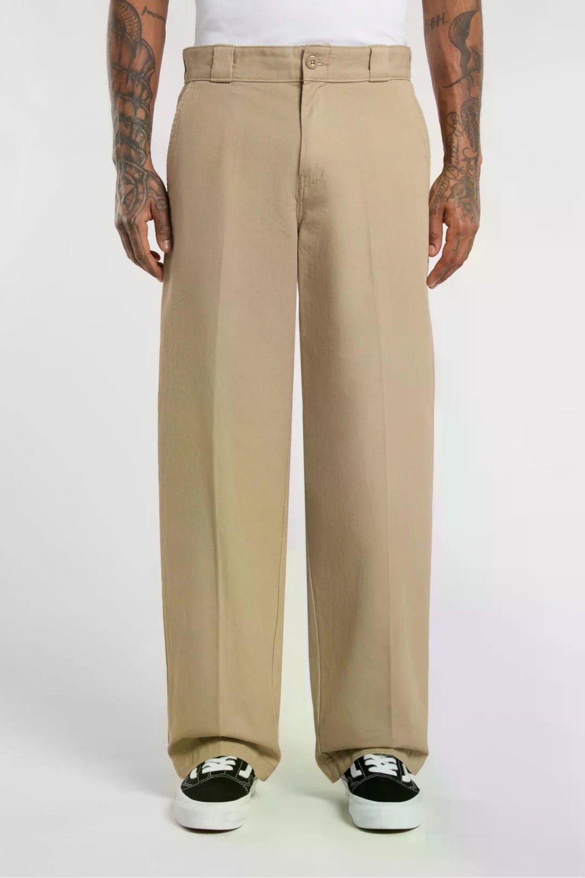 DICKIES  LOOSE en color DS  (1)