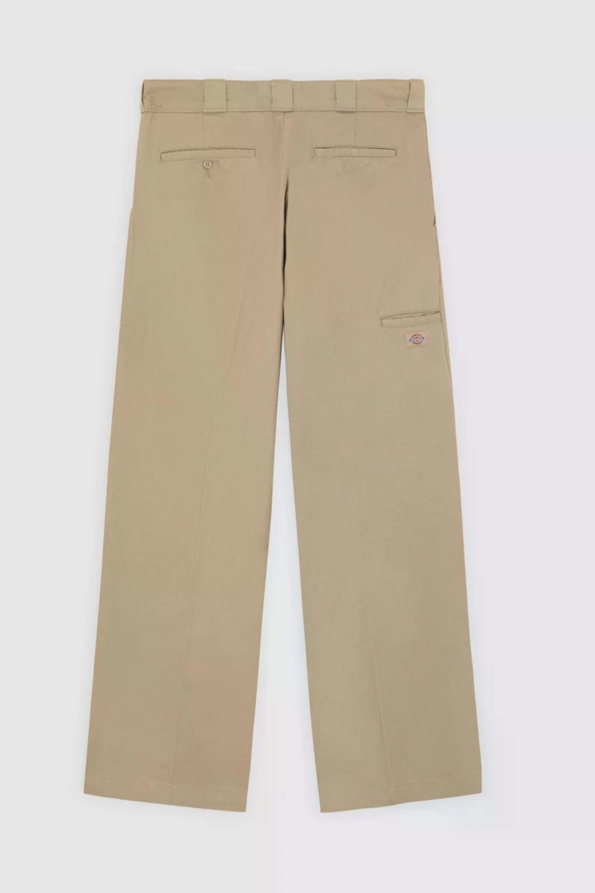 DICKIES  LOOSE en color DS  (2)