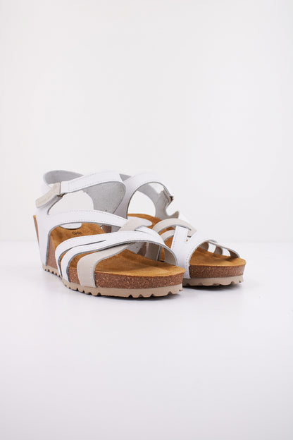 INTER BIOS IB  en color GRSBLCO  (2)