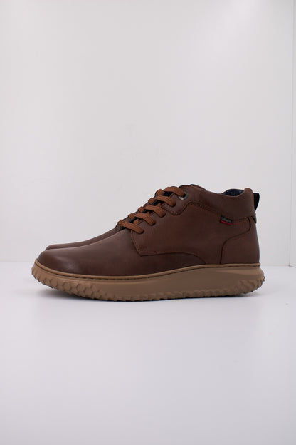 CALLAGHAN C en color JACINT  (1)