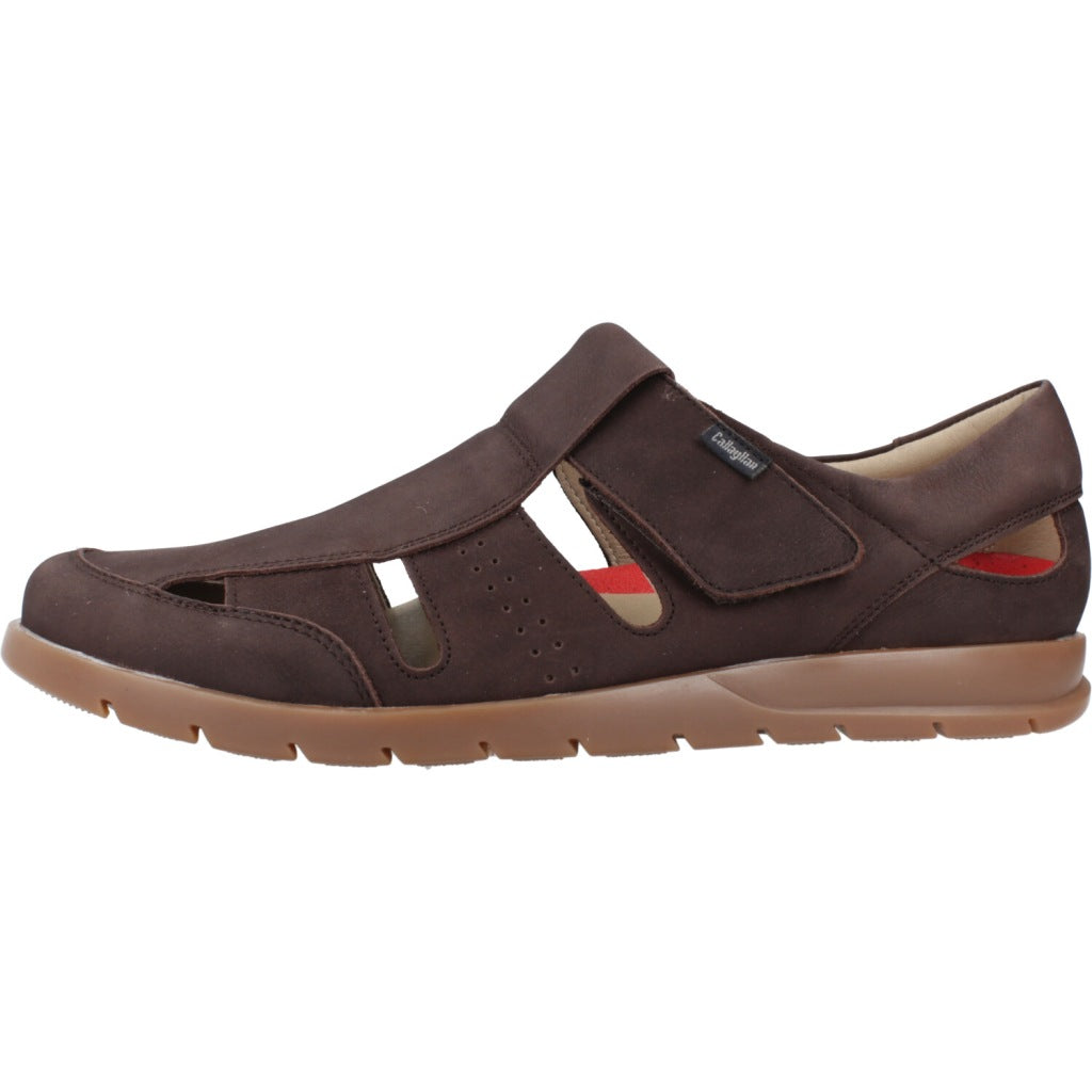CALLAGHAN C  en color MARRON  (2)