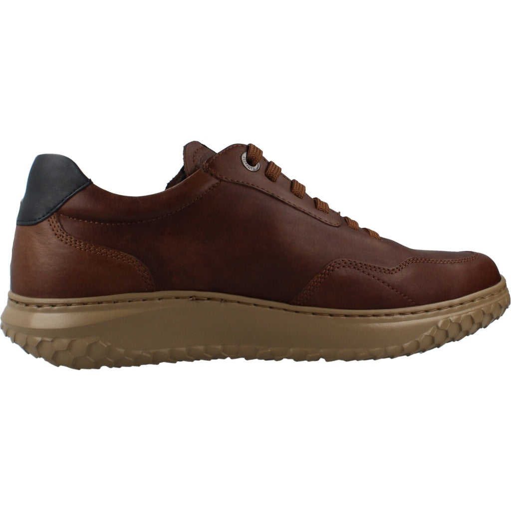 CALLAGHAN DORADO JACINTO en color JACINTO  (4)