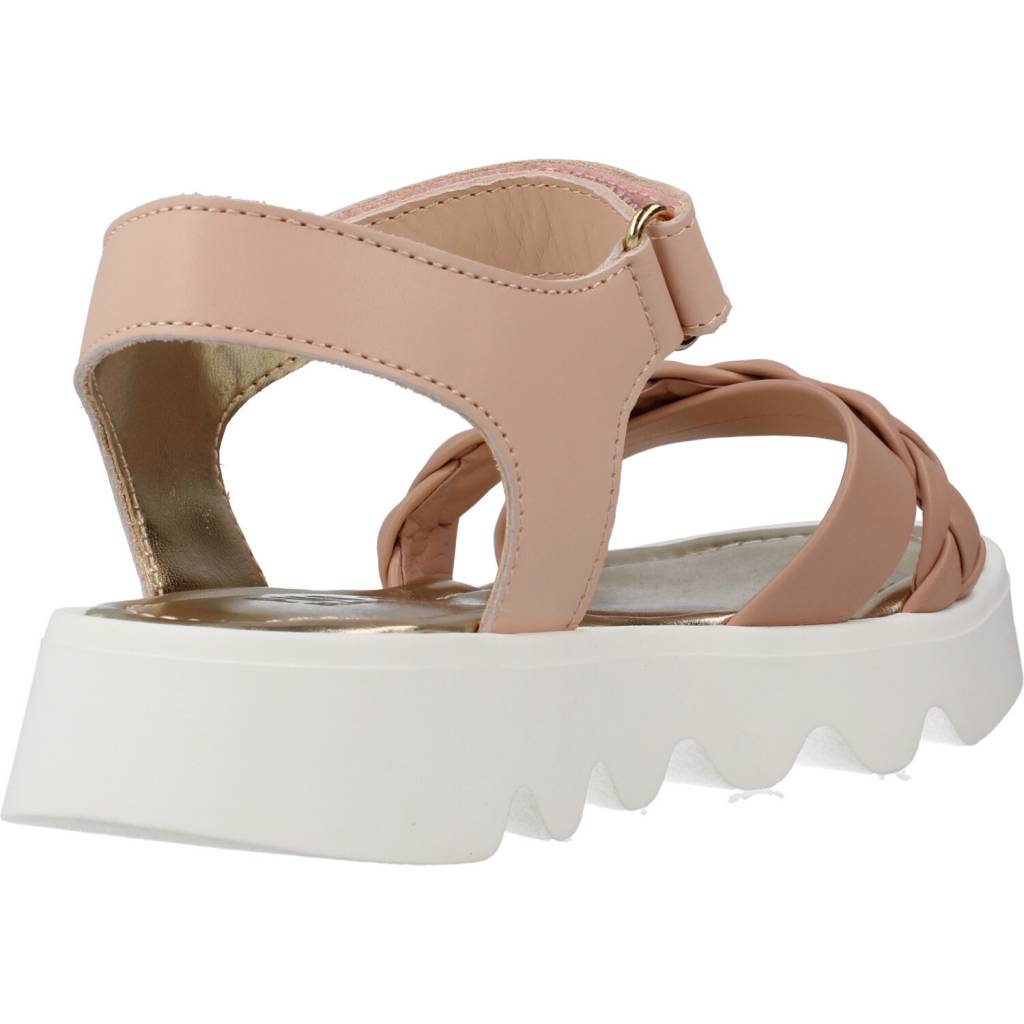 PRIMIGI P  en color NPPTRCC  (3)