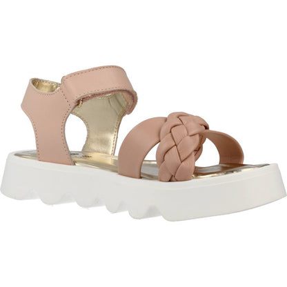 PRIMIGI P  en color NPPTRCC  (5)