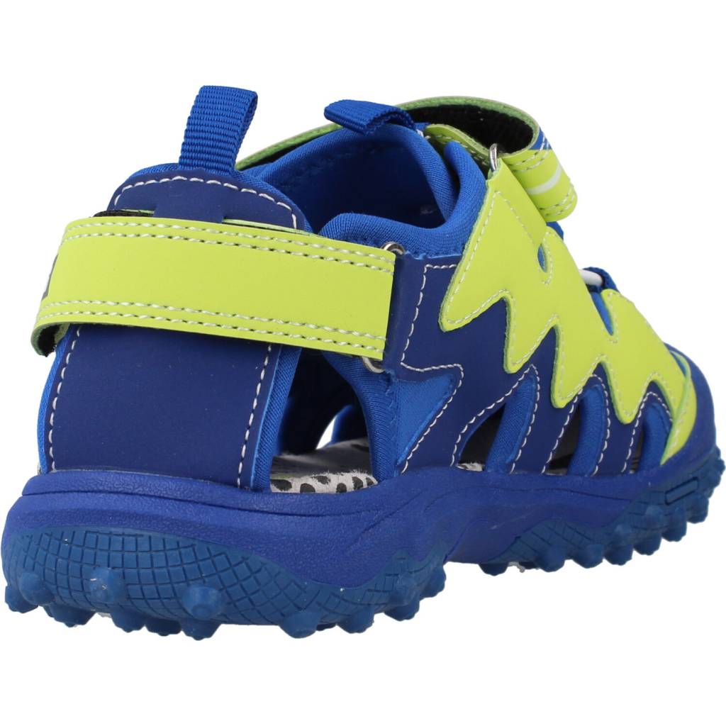 PRIMIGI P en color FLUNVY  (3)