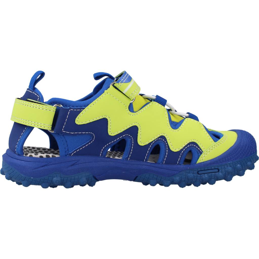 PRIMIGI P en color FLUNVY  (4)