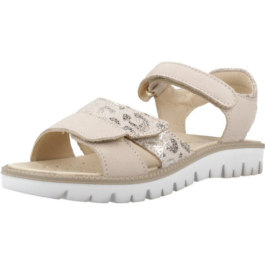 PRIMIGI P  en color PNBEIG  (1)