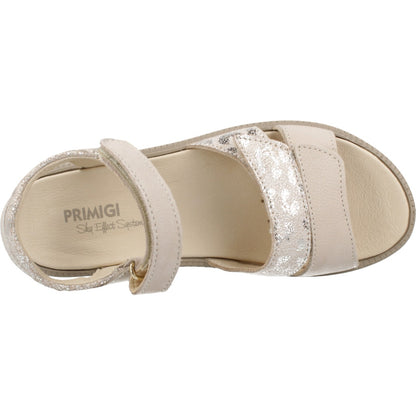 PRIMIGI P  en color PNBEIG  (6)