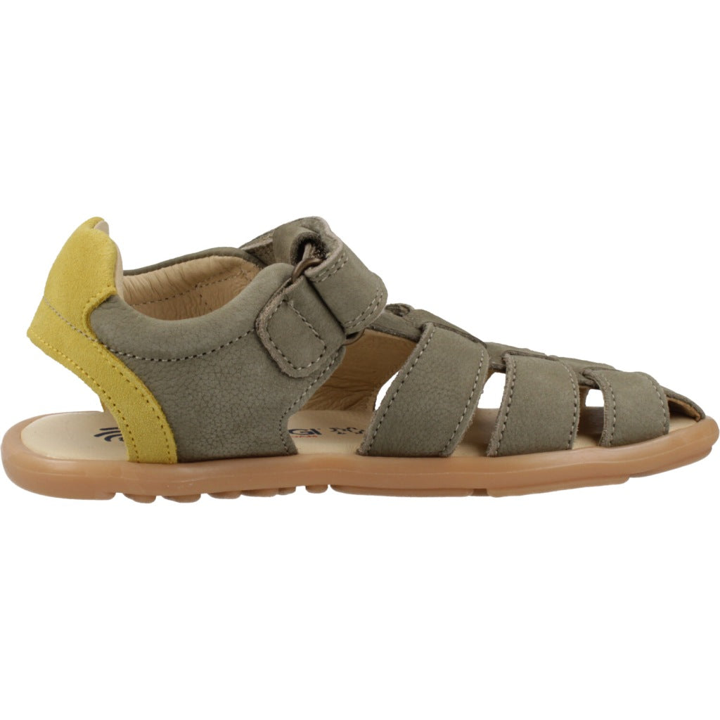 PRIMIGI P  en color NBKSLV  (4)