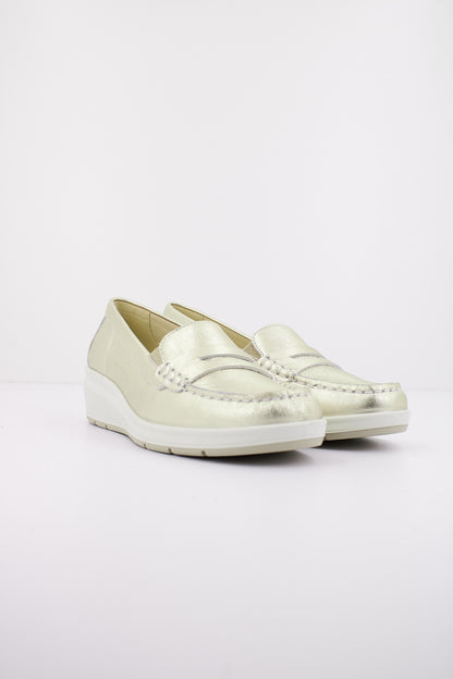 IMAC  MARATEA en color PLATBEI  (2)