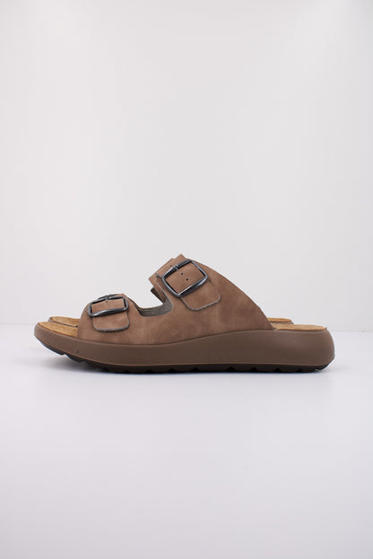 IMAC PALMER en color TAUBEIG  (1)