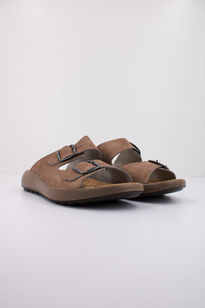 IMAC PALMER en color TAUBEIG  (2)