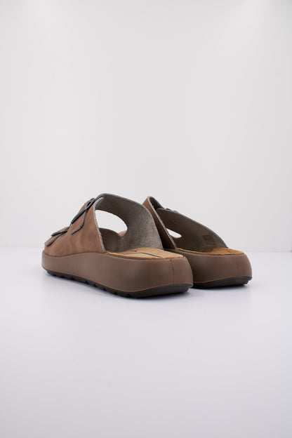 IMAC PALMER en color TAUBEIG  (3)