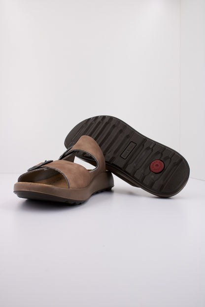 IMAC PALMER en color TAUBEIG  (4)