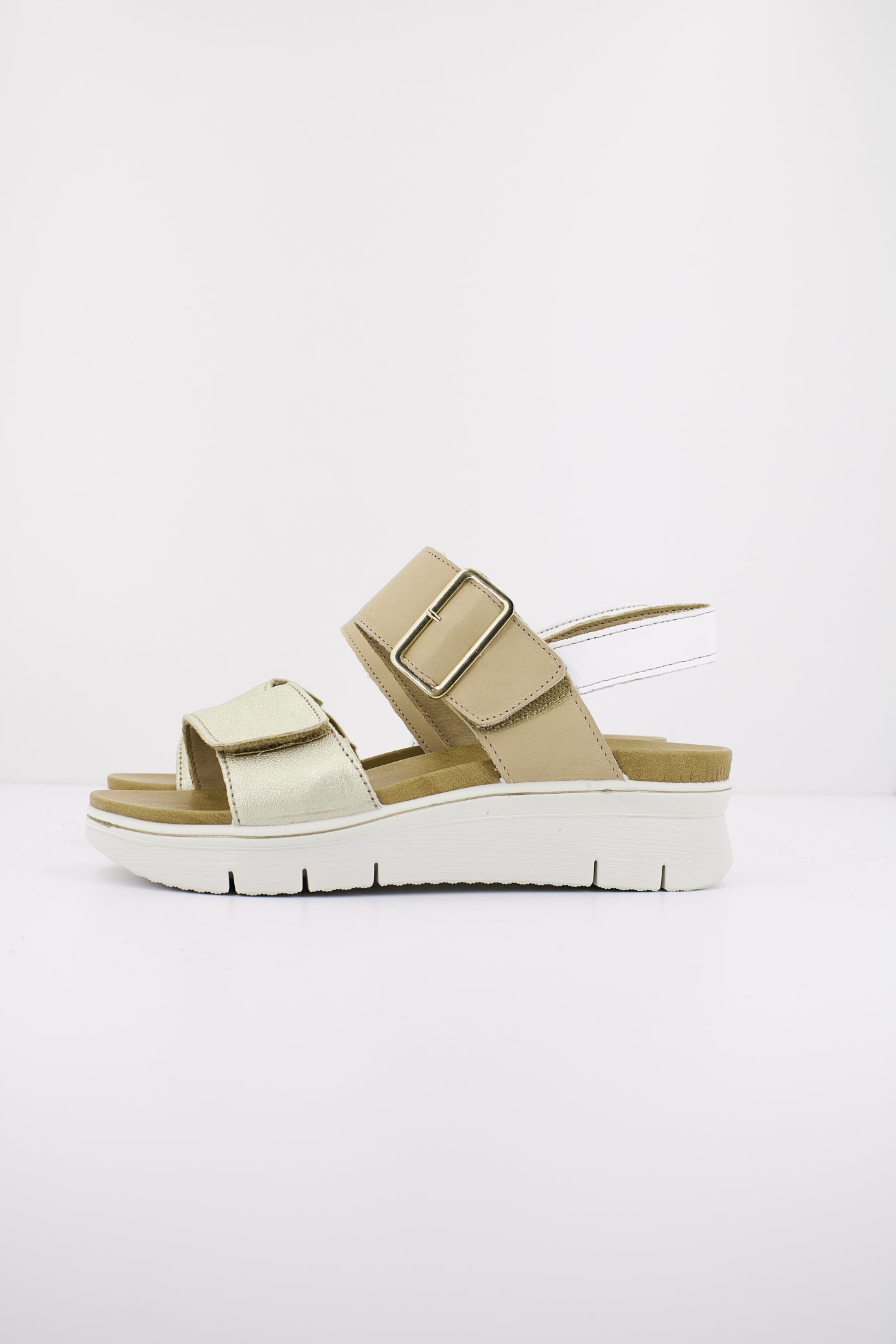 IMAC SHARON en color PLATBEI  (1)