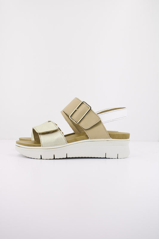 IMAC SHARON en color PLATBEI  (1)