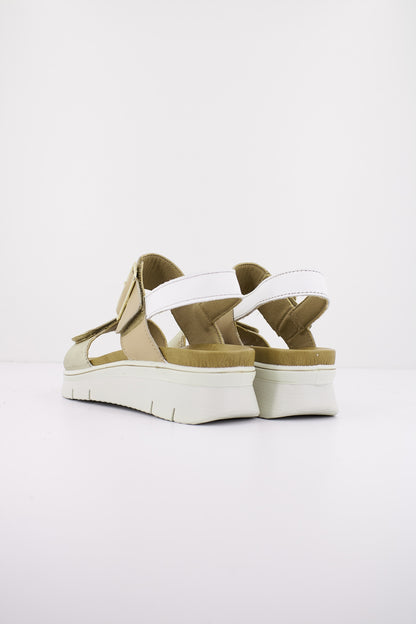 IMAC SHARON en color PLATBEI  (3)