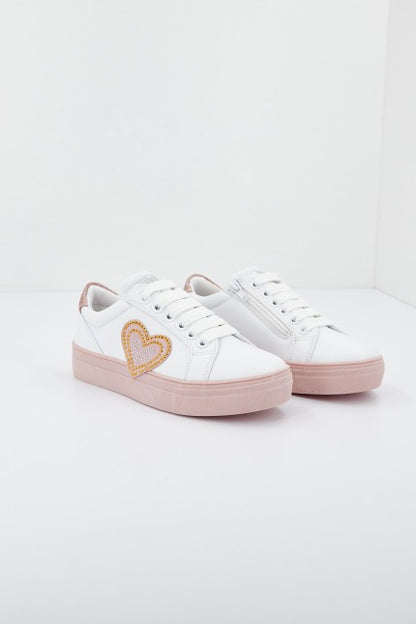 ASSO AG en color C  (1)