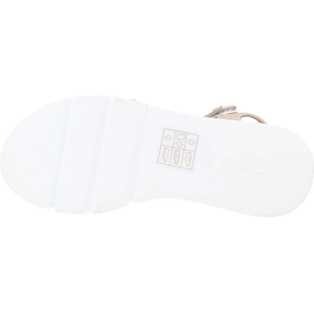 ASSO AG  en color C  (6)