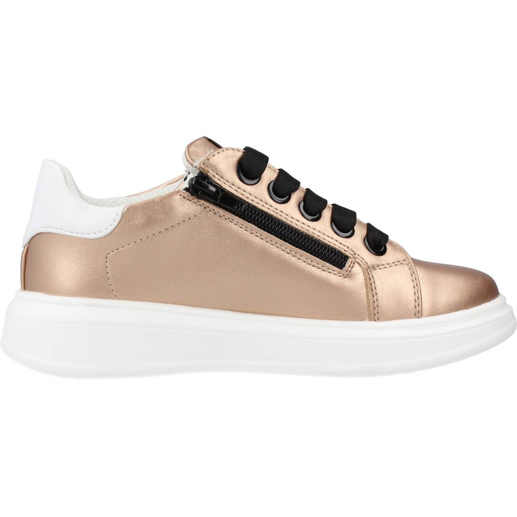 ASSO AG en color C  (4)