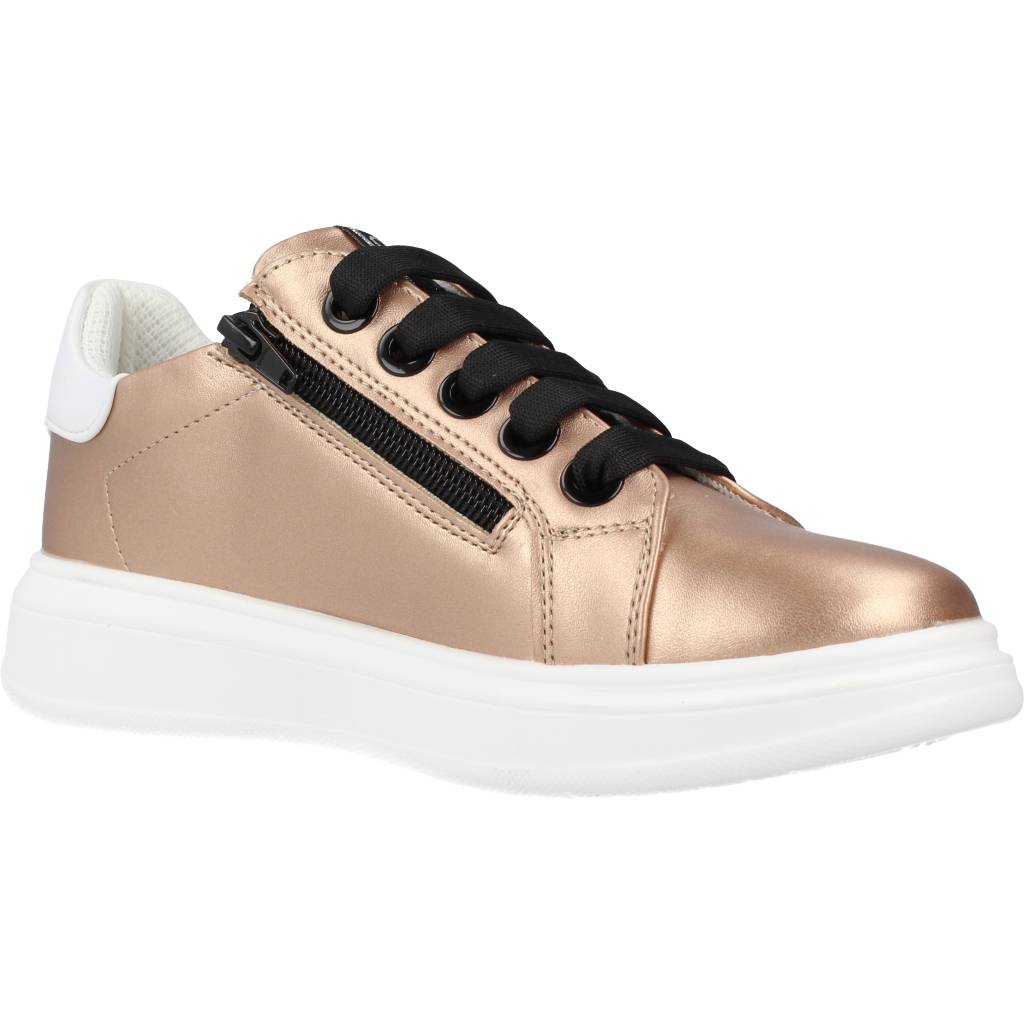 ASSO AG en color C  (5)