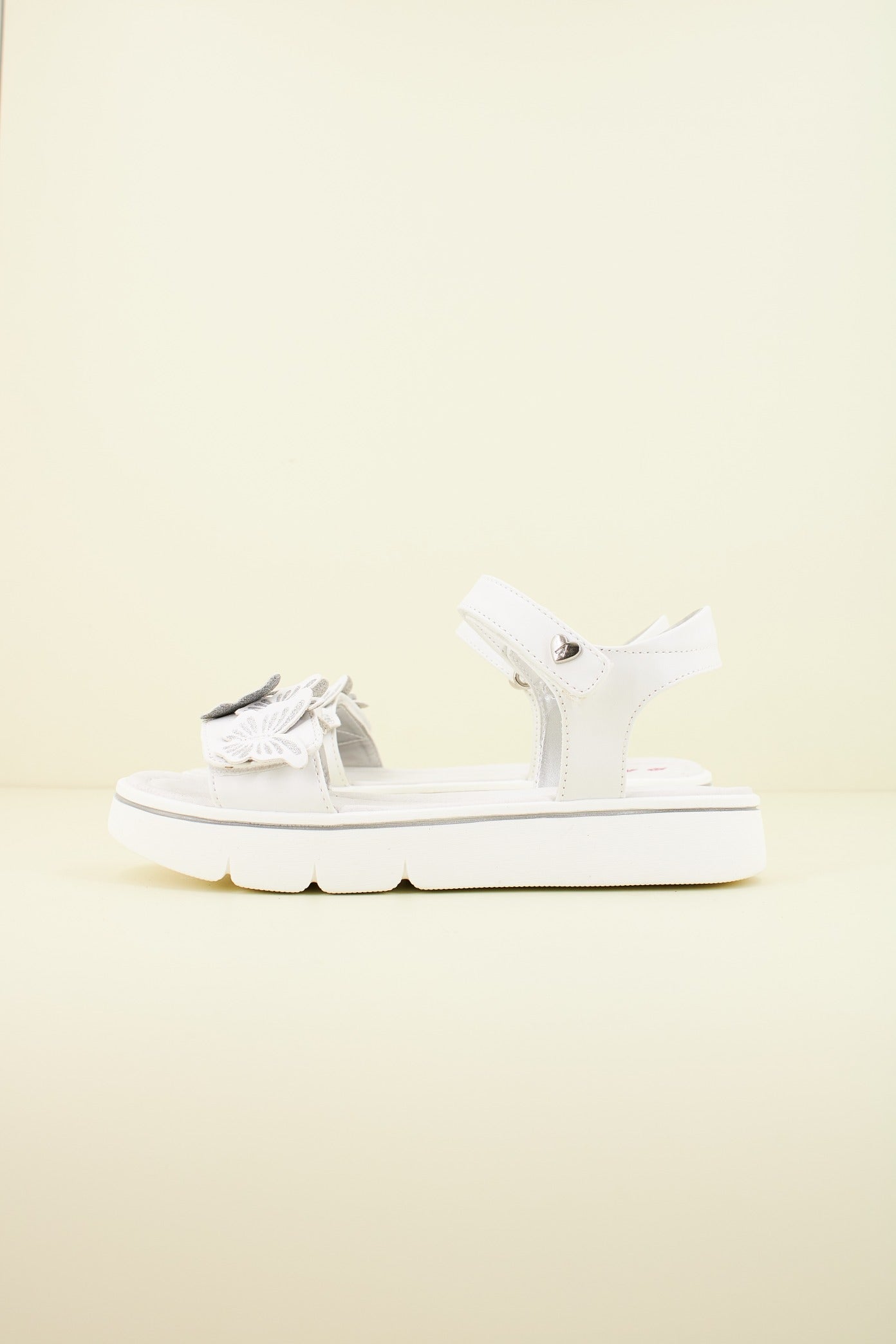 ASSO AG en color C  (1)