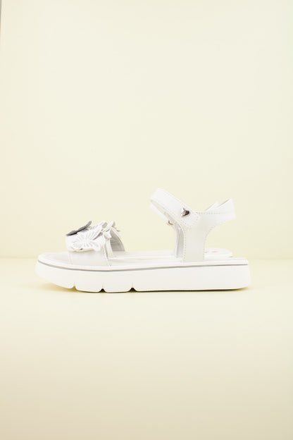 ASSO AG en color C  (1)