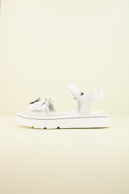 ASSO AG en color C  (1)