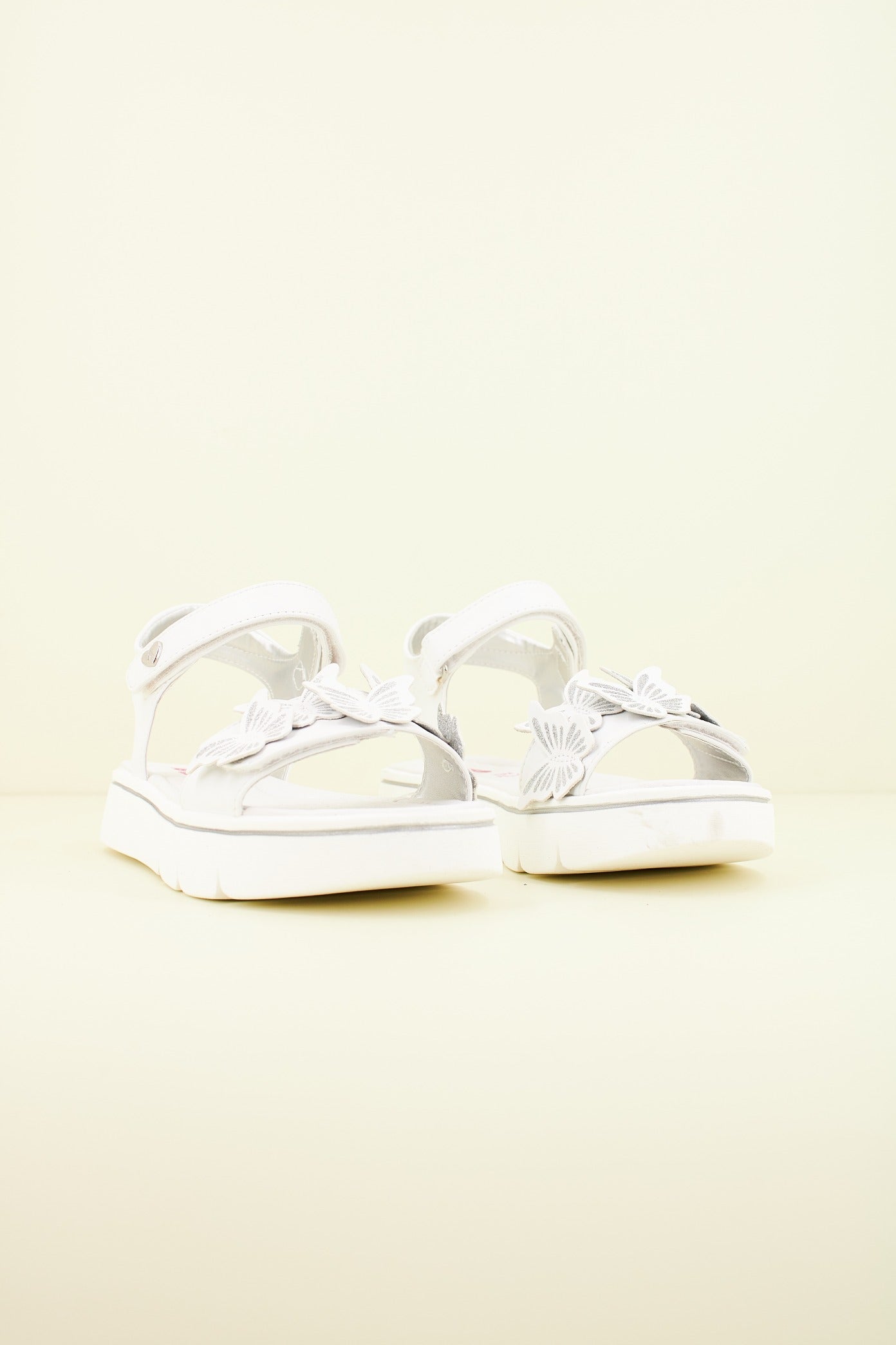 ASSO AG en color C  (2)