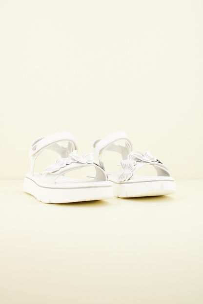 ASSO AG en color C  (2)