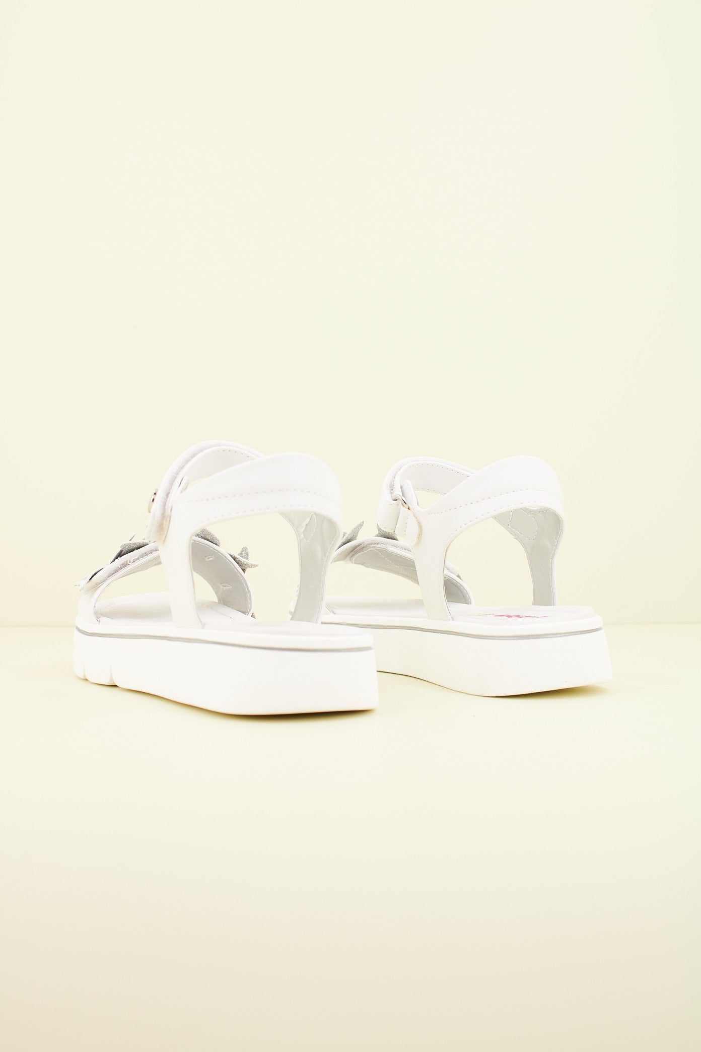 ASSO AG en color C  (3)