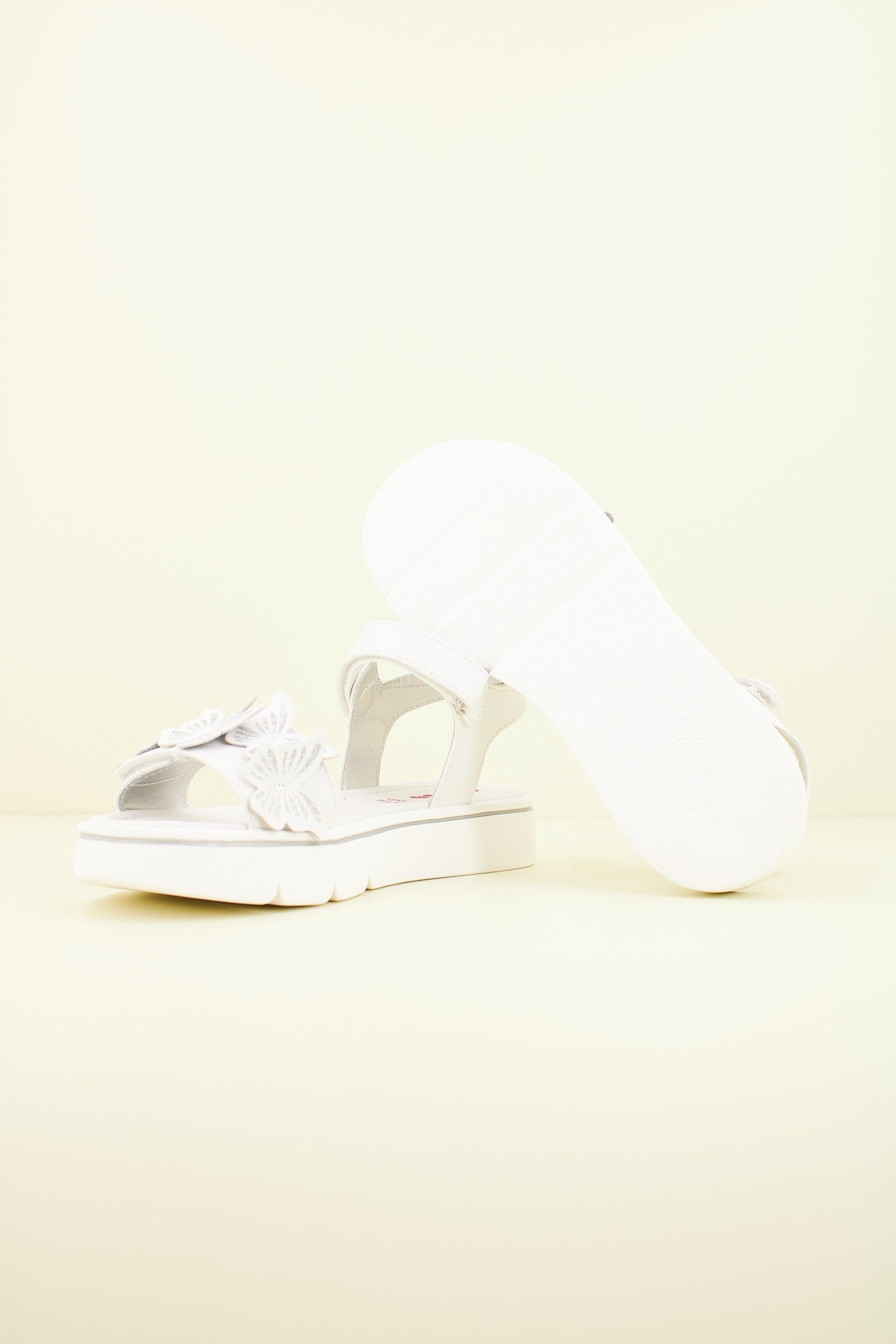 ASSO AG en color C  (4)