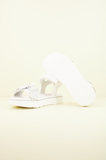 ASSO AG en color C  (4)