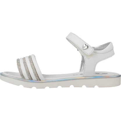 ASSO AG en color C  (2)