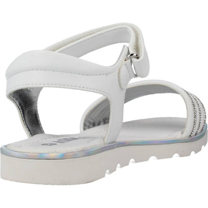 ASSO AG en color C  (3)