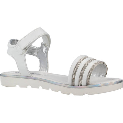 ASSO AG en color C  (5)