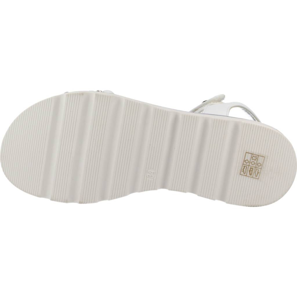 ASSO AG en color C  (6)